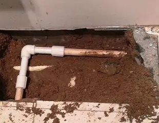 连云测漏水哪家好