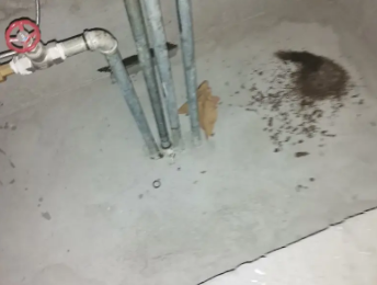 连云卫生间测漏水价格明细