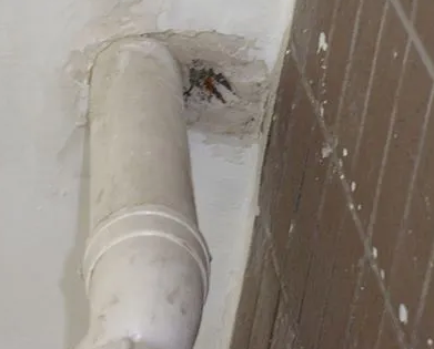 连云漏水检测哪家好